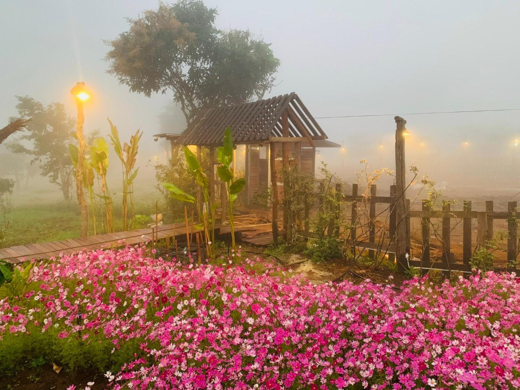 Cai Gui Ta Dung Hotel Bidong Екстериор снимка