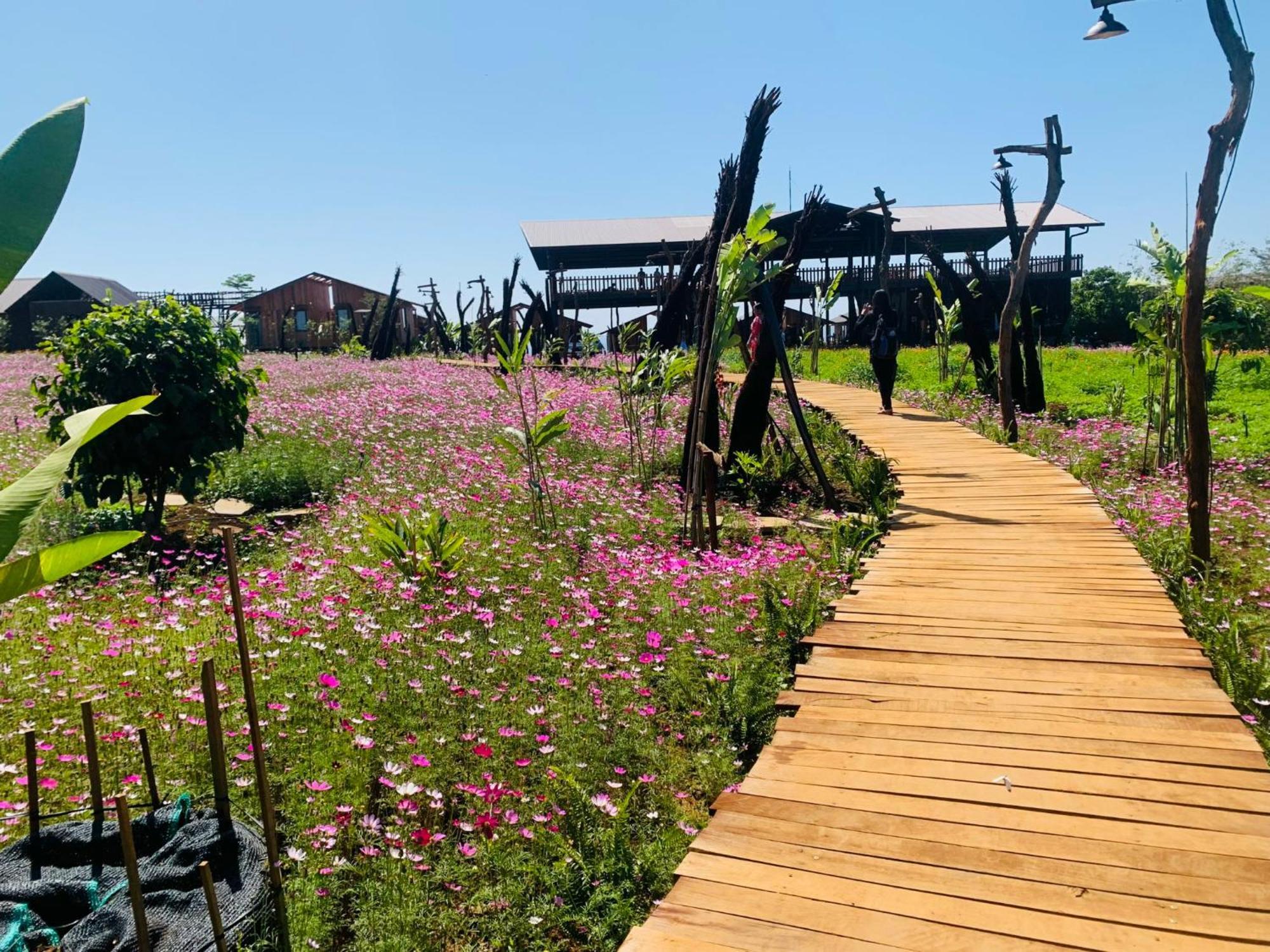 Cai Gui Ta Dung Hotel Bidong Екстериор снимка
